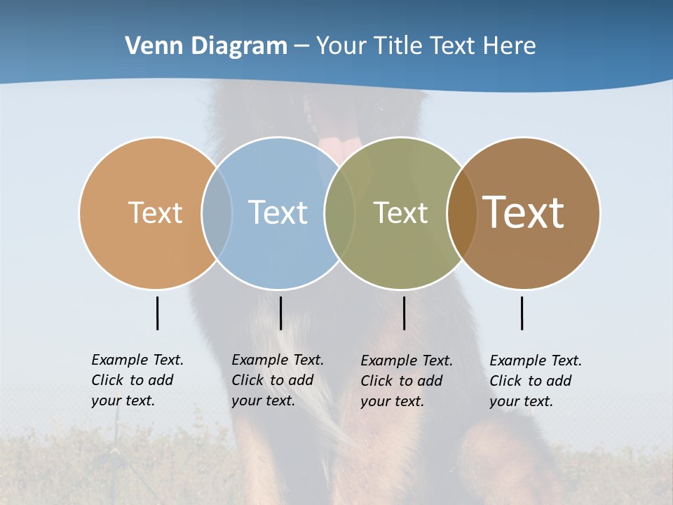 A Dog Sitting On Top Of A Wooden Bench PowerPoint Template
