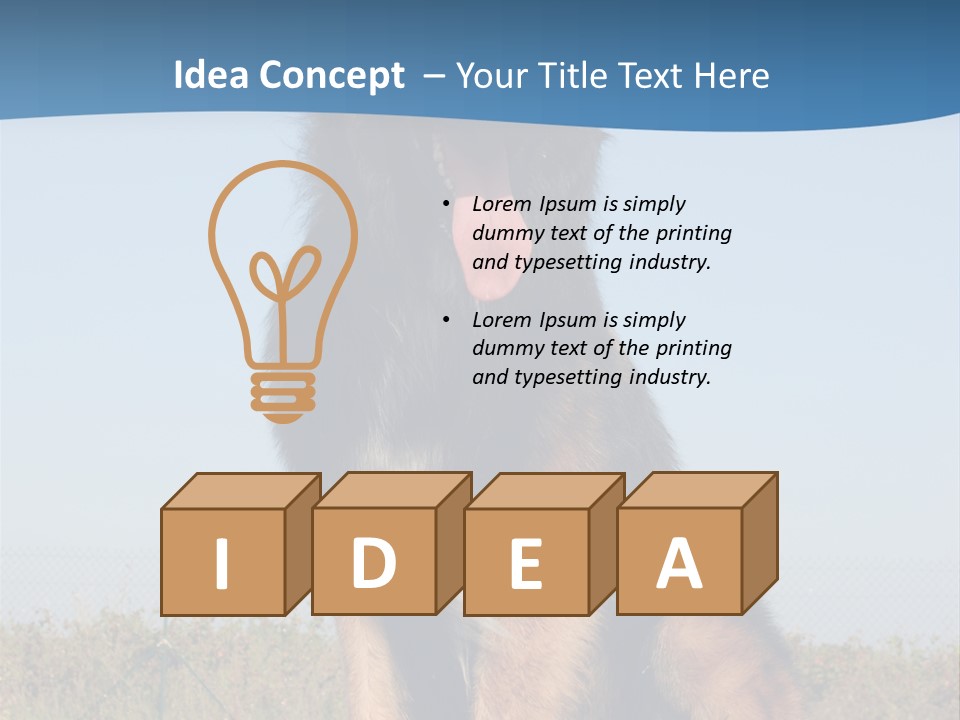 A Dog Sitting On Top Of A Wooden Bench PowerPoint Template