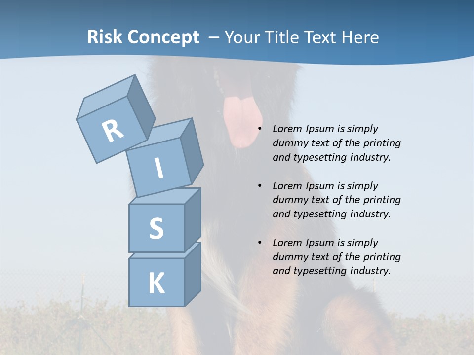 A Dog Sitting On Top Of A Wooden Bench PowerPoint Template