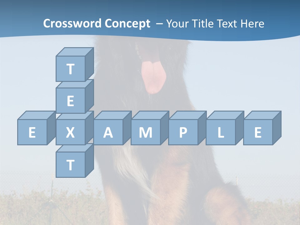 A Dog Sitting On Top Of A Wooden Bench PowerPoint Template