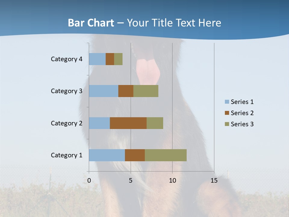 A Dog Sitting On Top Of A Wooden Bench PowerPoint Template