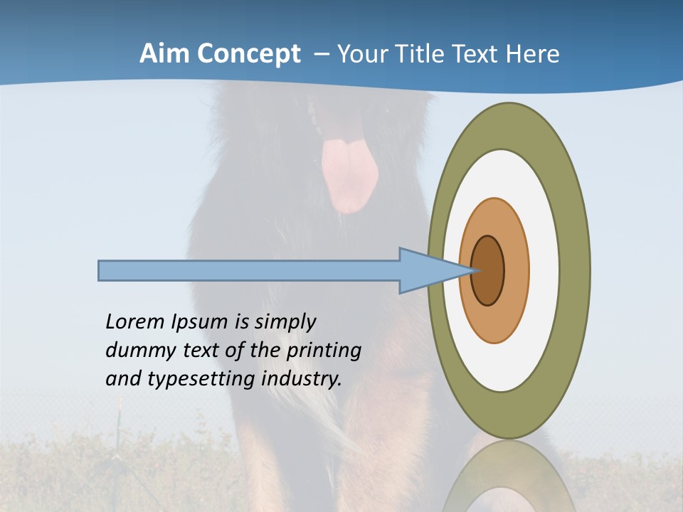 A Dog Sitting On Top Of A Wooden Bench PowerPoint Template