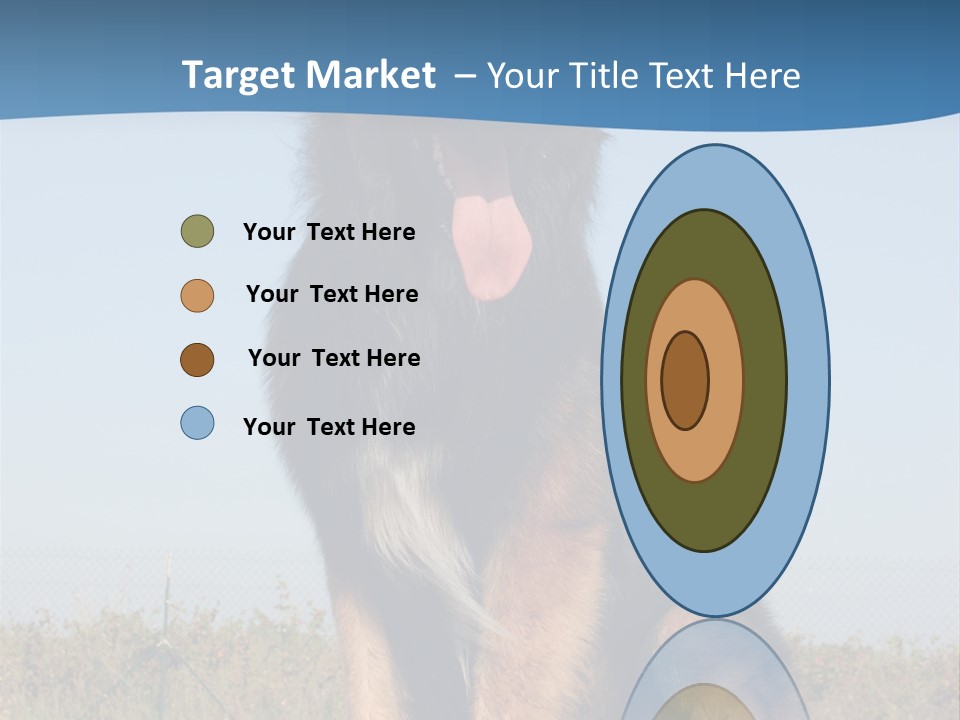 A Dog Sitting On Top Of A Wooden Bench PowerPoint Template