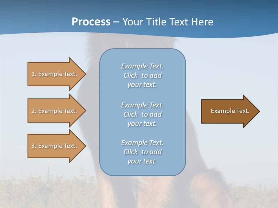 A Dog Sitting On Top Of A Wooden Bench PowerPoint Template
