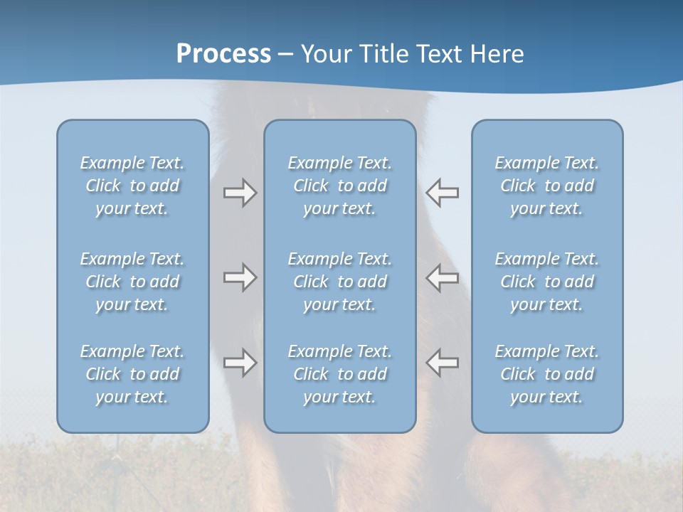 A Dog Sitting On Top Of A Wooden Bench PowerPoint Template
