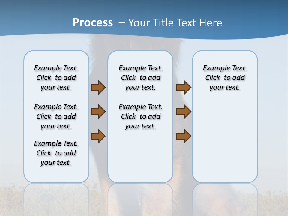 A Dog Sitting On Top Of A Wooden Bench PowerPoint Template