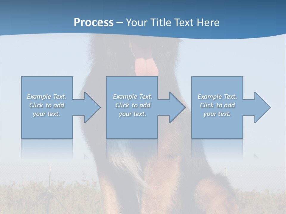 A Dog Sitting On Top Of A Wooden Bench PowerPoint Template