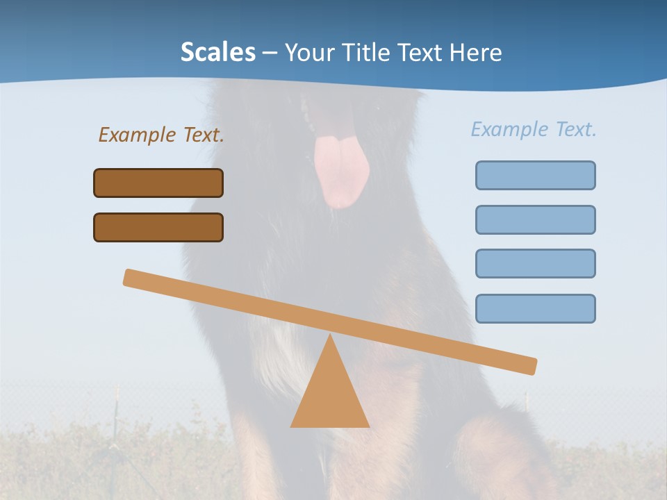 A Dog Sitting On Top Of A Wooden Bench PowerPoint Template