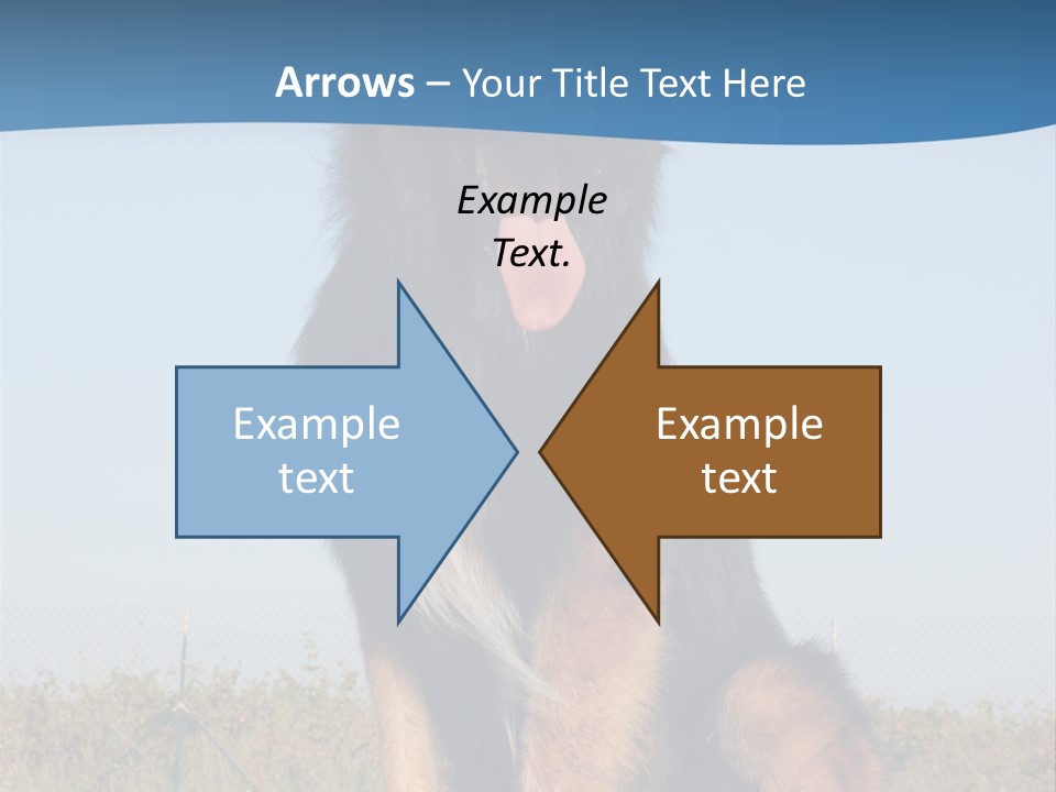 A Dog Sitting On Top Of A Wooden Bench PowerPoint Template