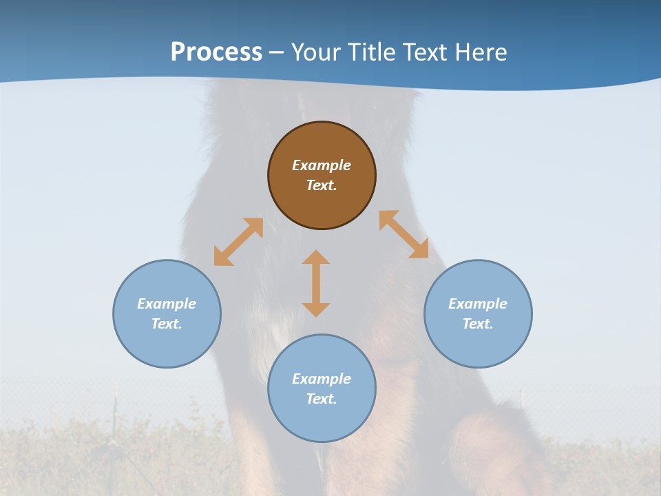 A Dog Sitting On Top Of A Wooden Bench PowerPoint Template