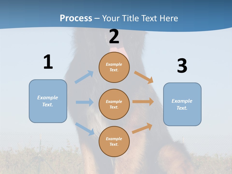 A Dog Sitting On Top Of A Wooden Bench PowerPoint Template
