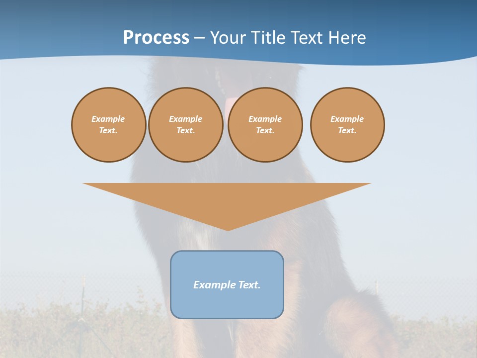 A Dog Sitting On Top Of A Wooden Bench PowerPoint Template