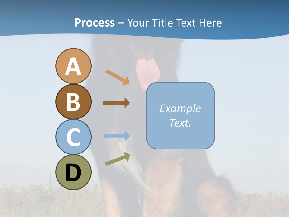 A Dog Sitting On Top Of A Wooden Bench PowerPoint Template