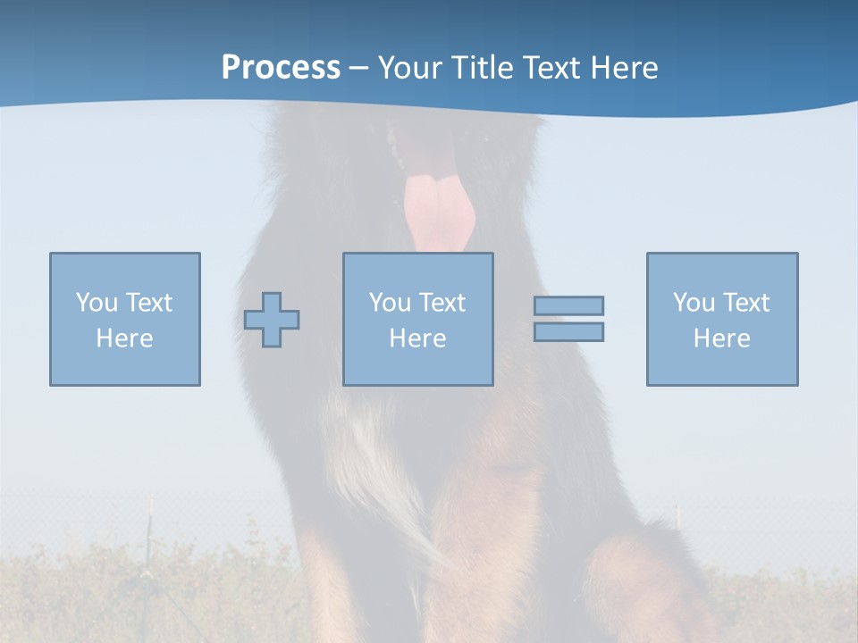 A Dog Sitting On Top Of A Wooden Bench PowerPoint Template