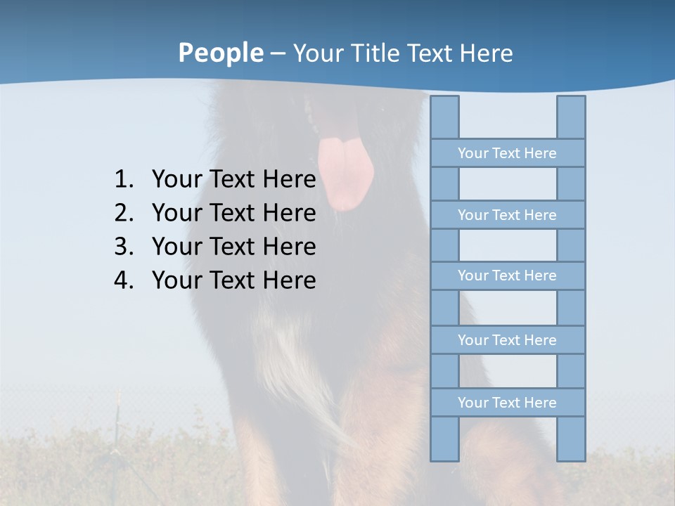 A Dog Sitting On Top Of A Wooden Bench PowerPoint Template