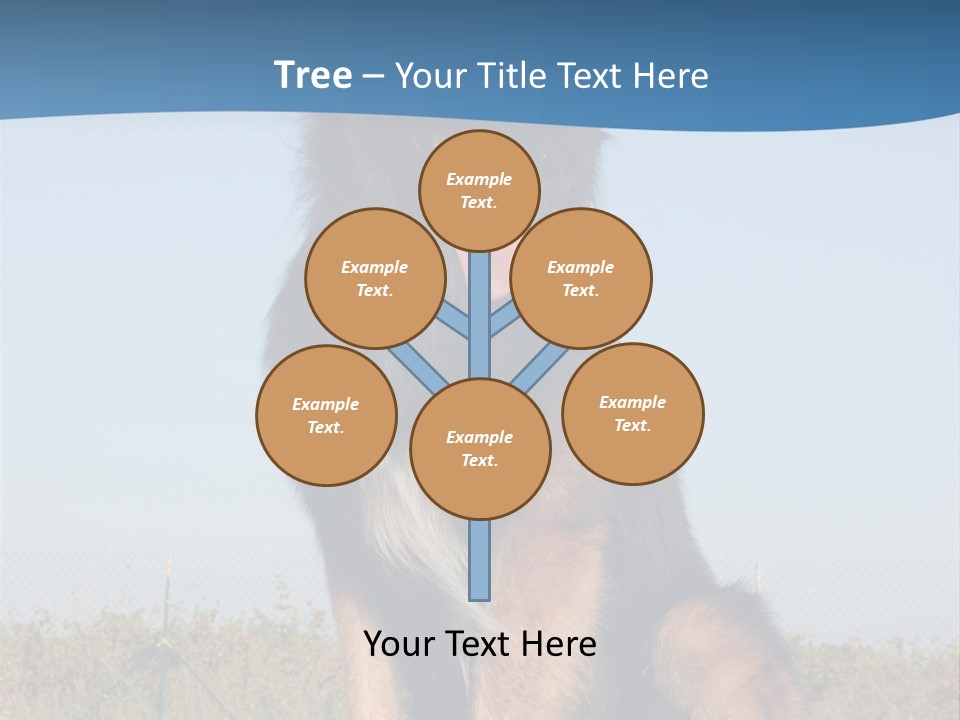 A Dog Sitting On Top Of A Wooden Bench PowerPoint Template