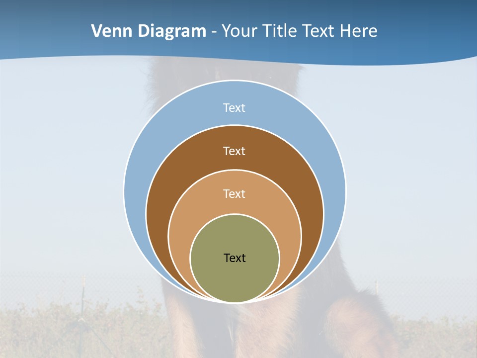 A Dog Sitting On Top Of A Wooden Bench PowerPoint Template