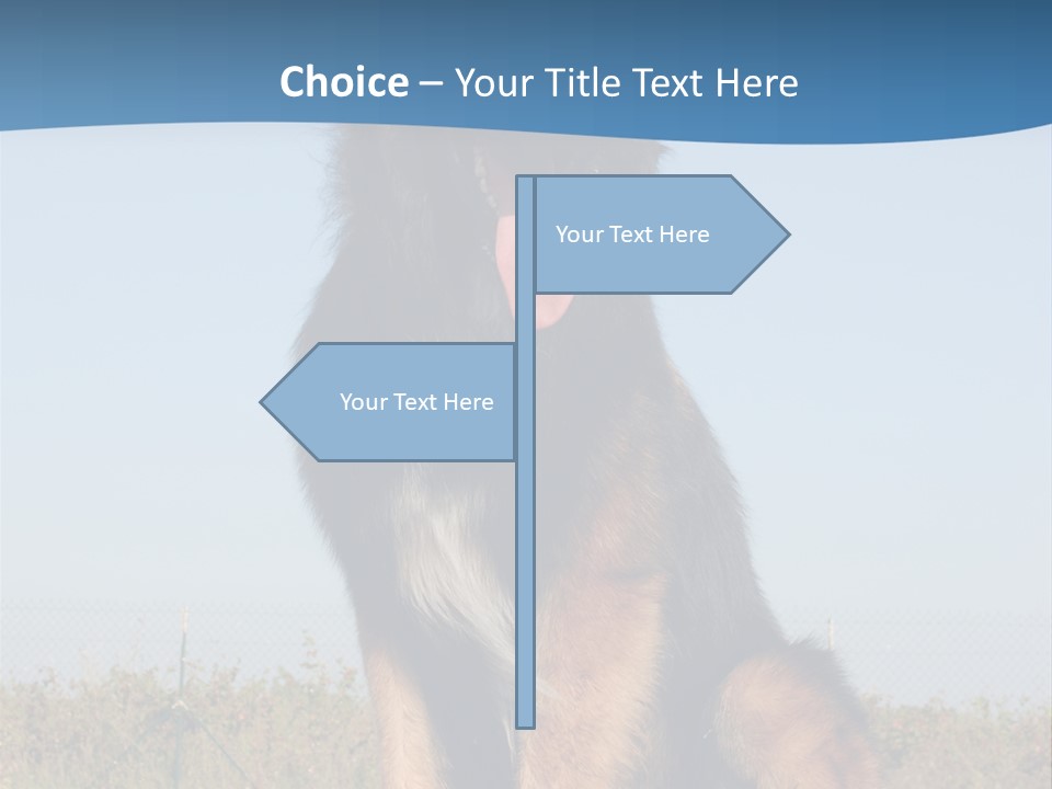 A Dog Sitting On Top Of A Wooden Bench PowerPoint Template