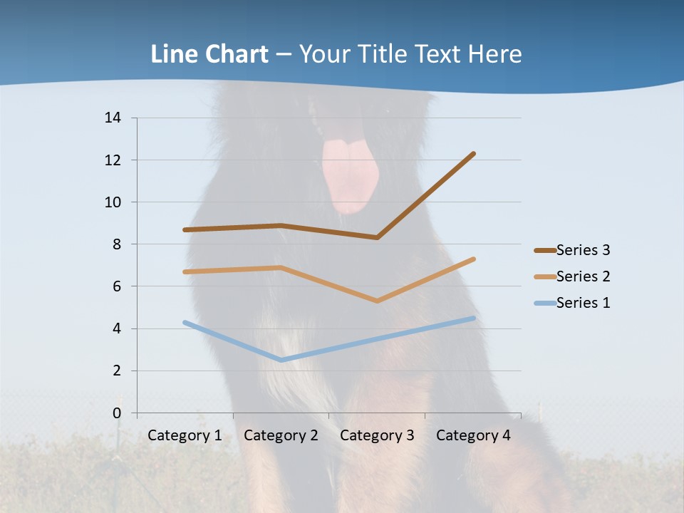 A Dog Sitting On Top Of A Wooden Bench PowerPoint Template
