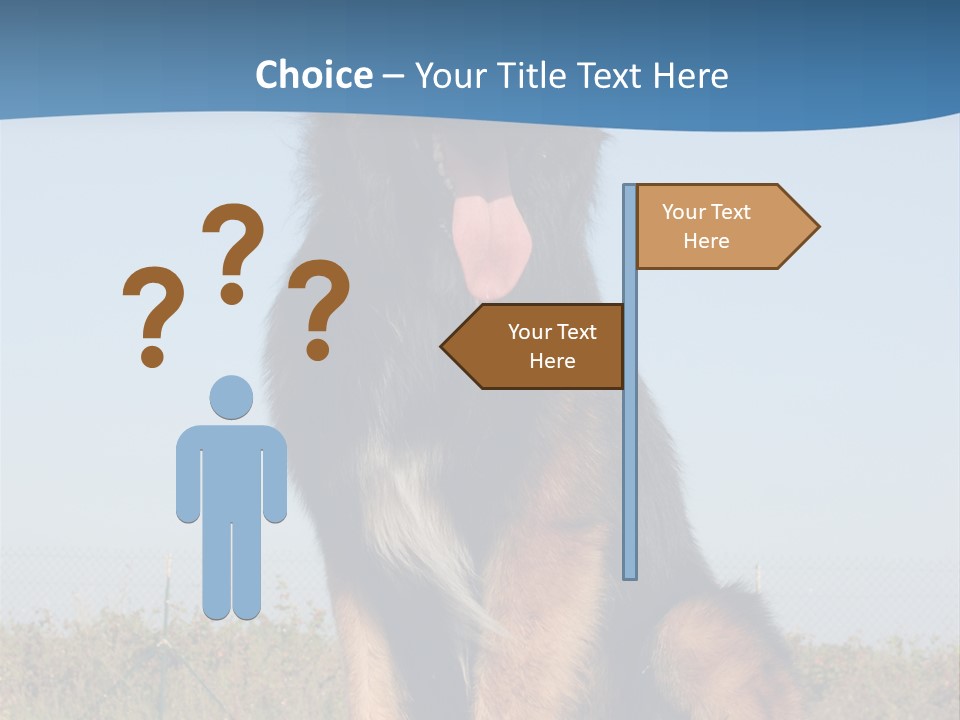 A Dog Sitting On Top Of A Wooden Bench PowerPoint Template