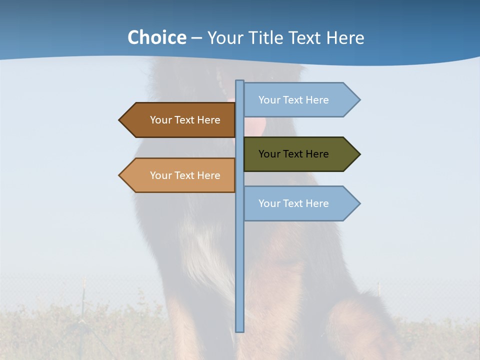 A Dog Sitting On Top Of A Wooden Bench PowerPoint Template