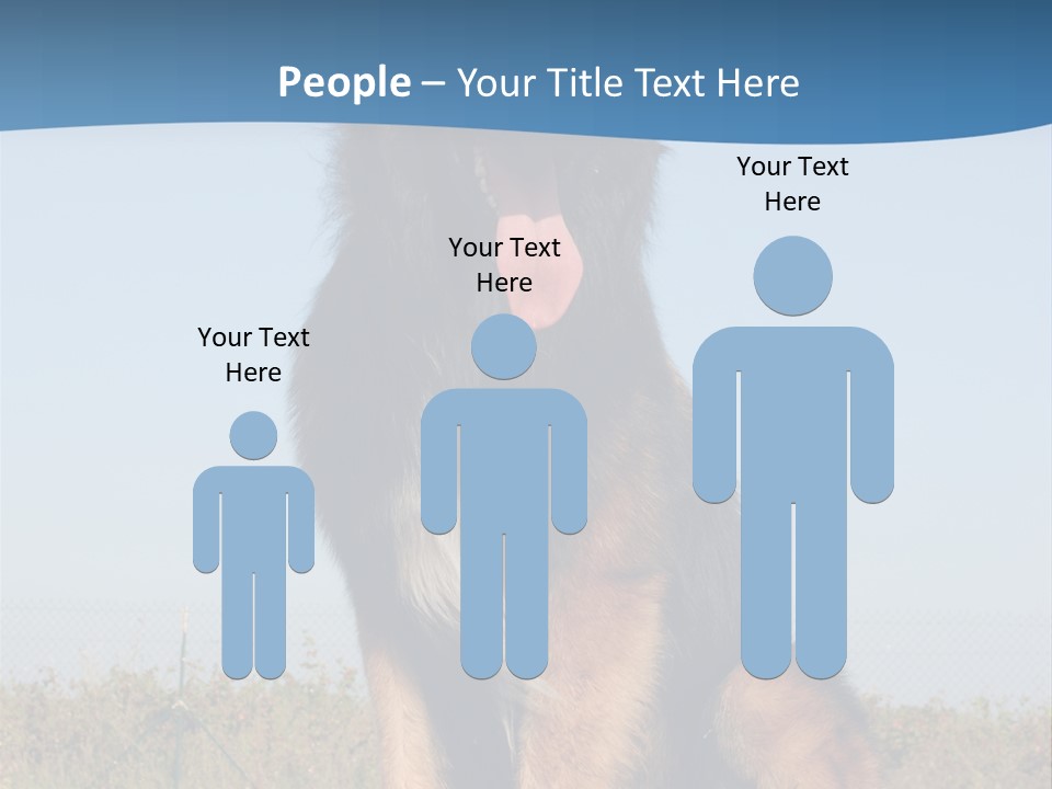 A Dog Sitting On Top Of A Wooden Bench PowerPoint Template