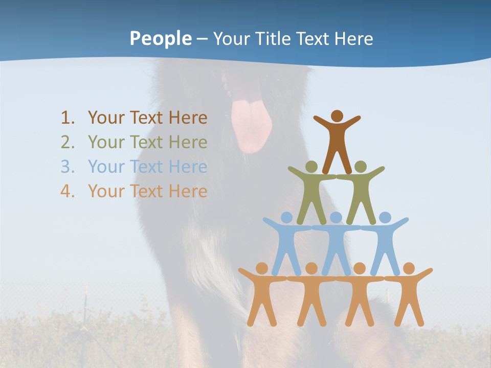 A Dog Sitting On Top Of A Wooden Bench PowerPoint Template