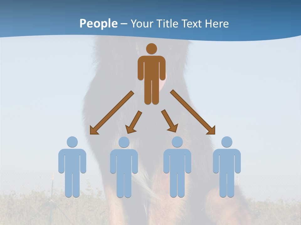 A Dog Sitting On Top Of A Wooden Bench PowerPoint Template