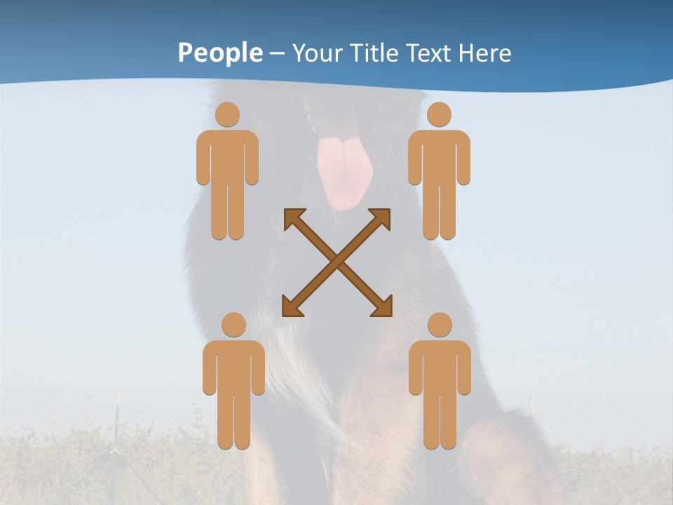 A Dog Sitting On Top Of A Wooden Bench PowerPoint Template