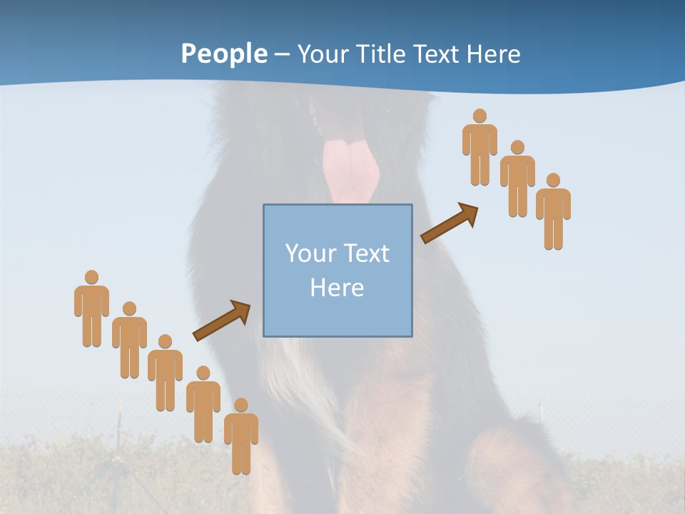 A Dog Sitting On Top Of A Wooden Bench PowerPoint Template