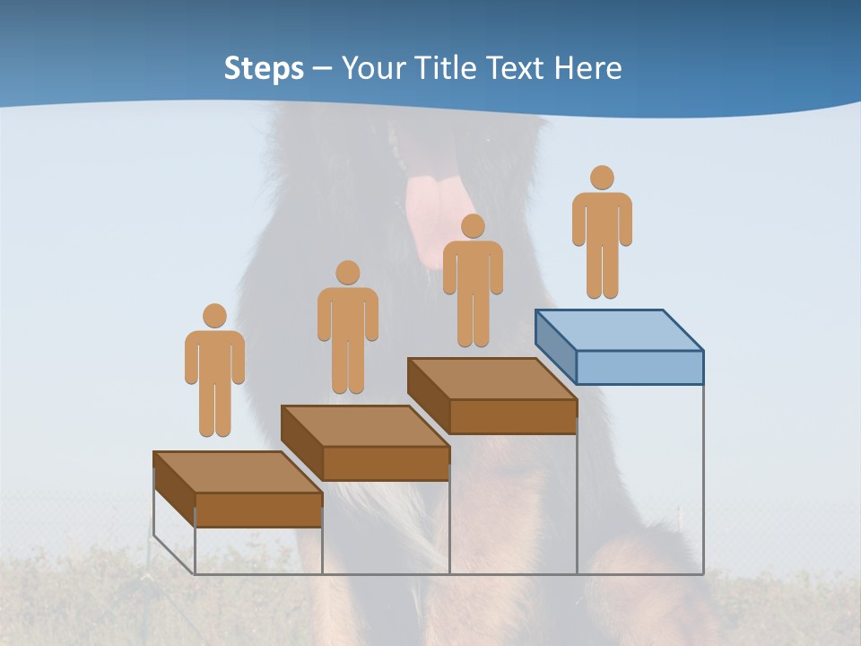 A Dog Sitting On Top Of A Wooden Bench PowerPoint Template