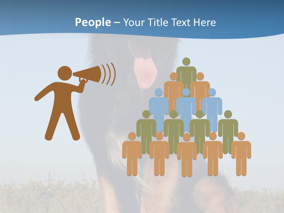 A Dog Sitting On Top Of A Wooden Bench PowerPoint Template