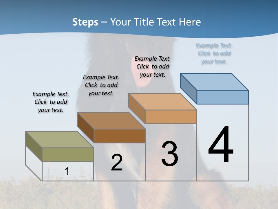 A Dog Sitting On Top Of A Wooden Bench PowerPoint Template