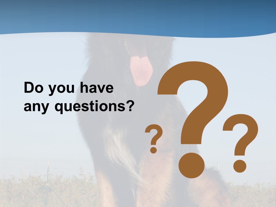 A Dog Sitting On Top Of A Wooden Bench PowerPoint Template