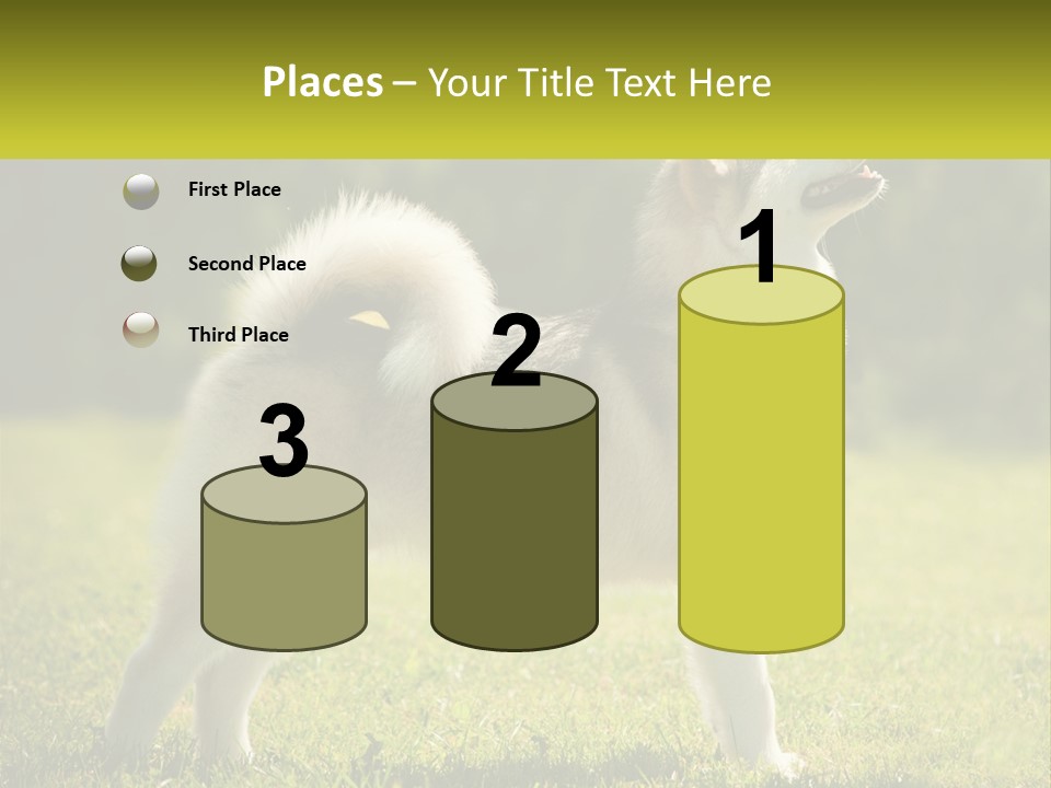 A Dog Standing In The Grass With A Sign In Front Of It PowerPoint Template