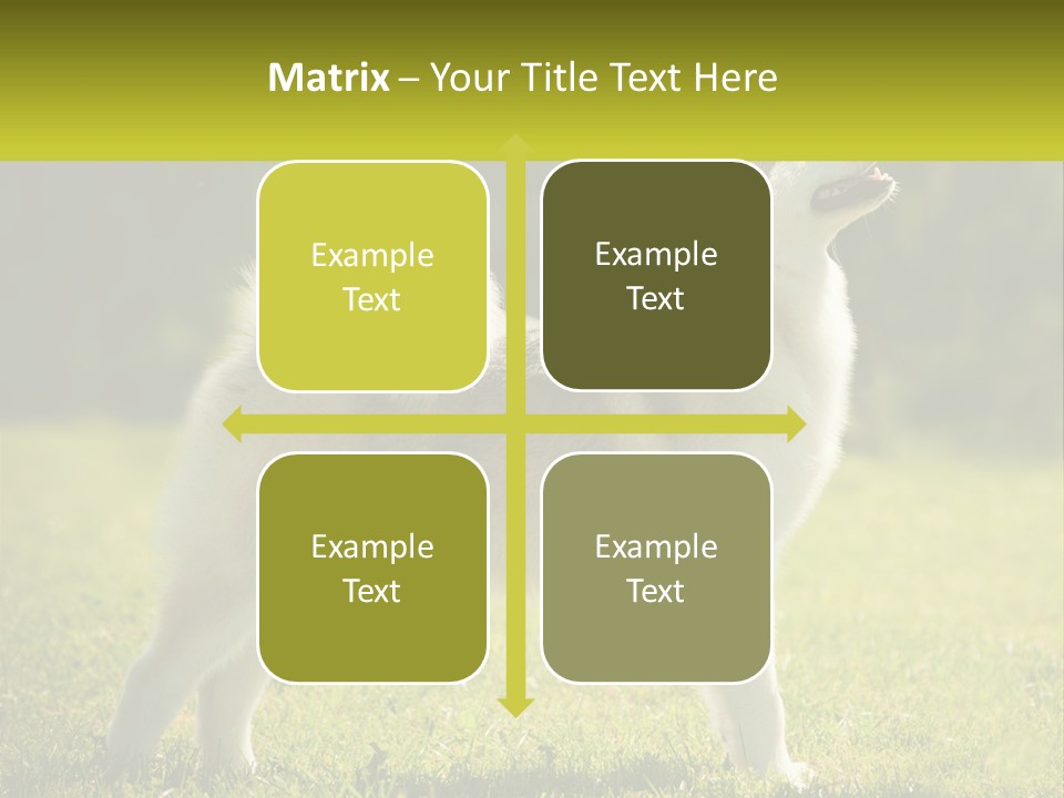 A Dog Standing In The Grass With A Sign In Front Of It PowerPoint Template