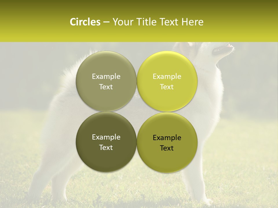 A Dog Standing In The Grass With A Sign In Front Of It PowerPoint Template