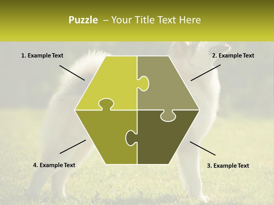 A Dog Standing In The Grass With A Sign In Front Of It PowerPoint Template