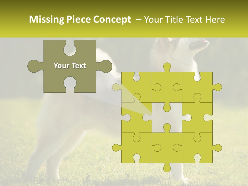 A Dog Standing In The Grass With A Sign In Front Of It PowerPoint Template