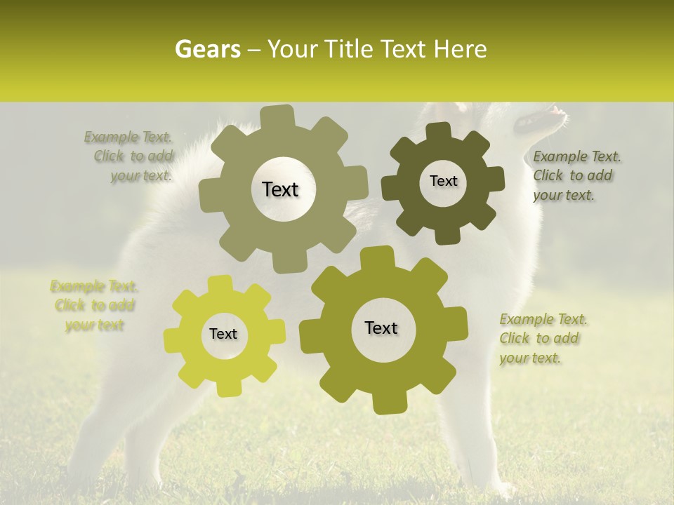 A Dog Standing In The Grass With A Sign In Front Of It PowerPoint Template