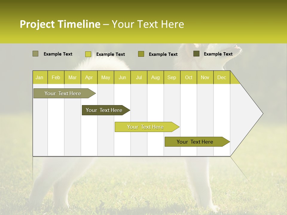 A Dog Standing In The Grass With A Sign In Front Of It PowerPoint Template