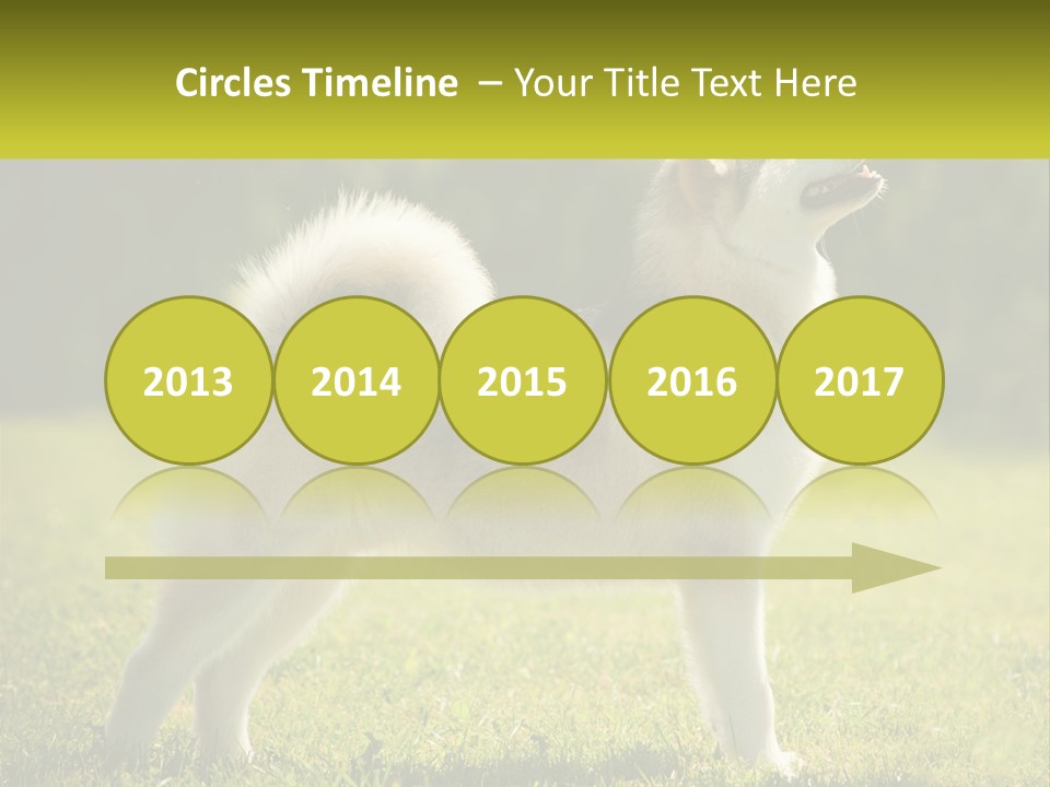 A Dog Standing In The Grass With A Sign In Front Of It PowerPoint Template