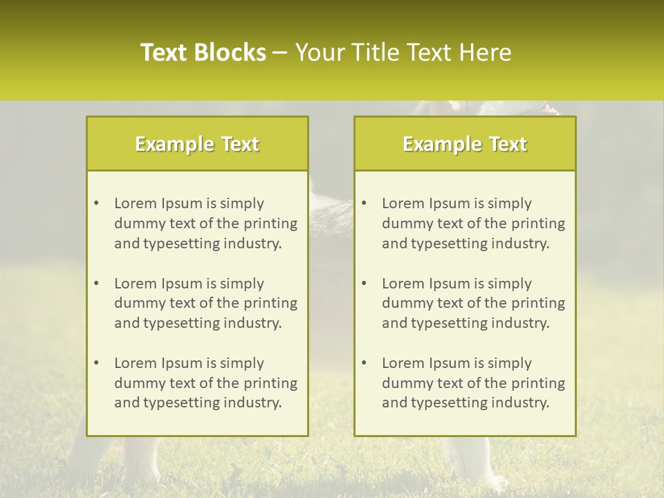 A Dog Standing In The Grass With A Sign In Front Of It PowerPoint Template