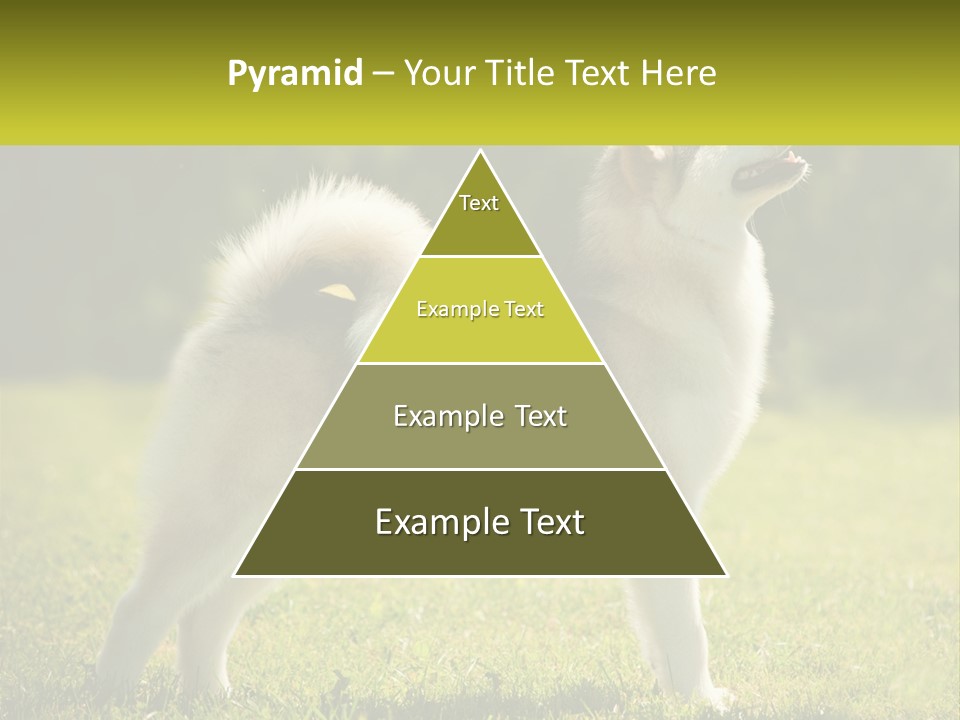 A Dog Standing In The Grass With A Sign In Front Of It PowerPoint Template