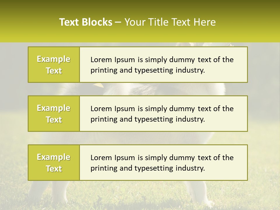 A Dog Standing In The Grass With A Sign In Front Of It PowerPoint Template