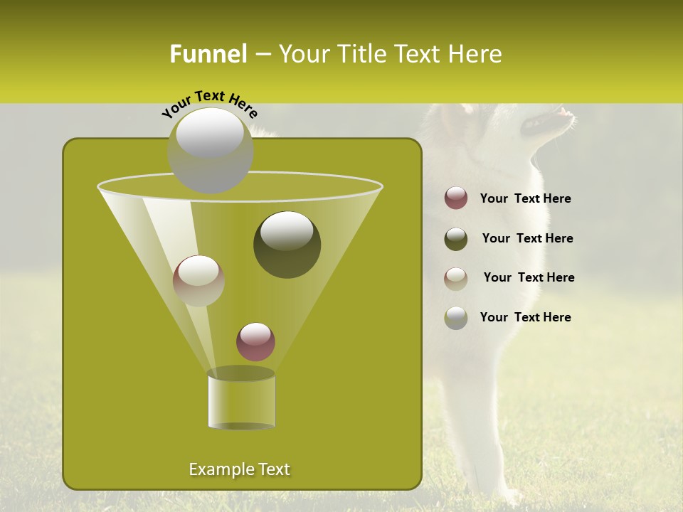 A Dog Standing In The Grass With A Sign In Front Of It PowerPoint Template