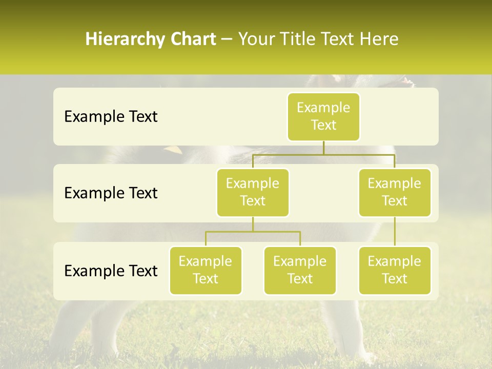 A Dog Standing In The Grass With A Sign In Front Of It PowerPoint Template