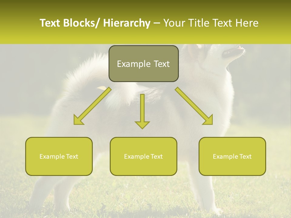 A Dog Standing In The Grass With A Sign In Front Of It PowerPoint Template