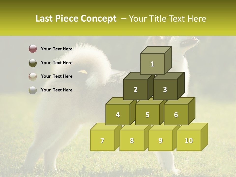 A Dog Standing In The Grass With A Sign In Front Of It PowerPoint Template