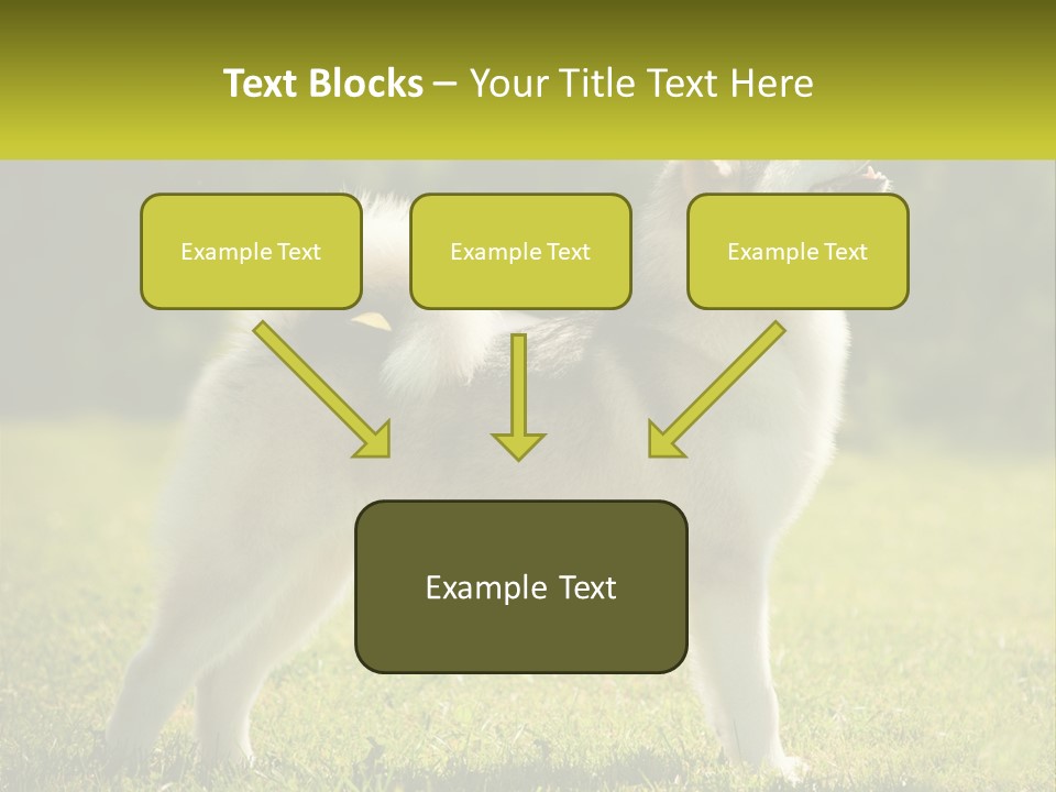 A Dog Standing In The Grass With A Sign In Front Of It PowerPoint Template
